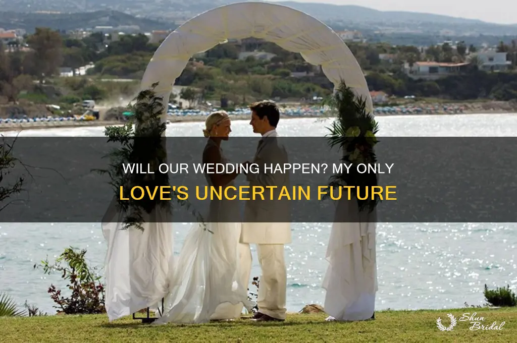 is the wedding going to happen my only love