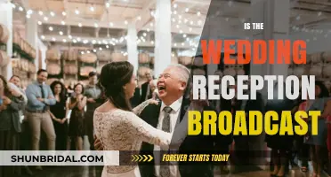 The Wedding Reception: Live Broadcasts for Guests