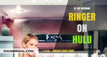 Where to Watch The Wedding Ringer: Hulu or Not?