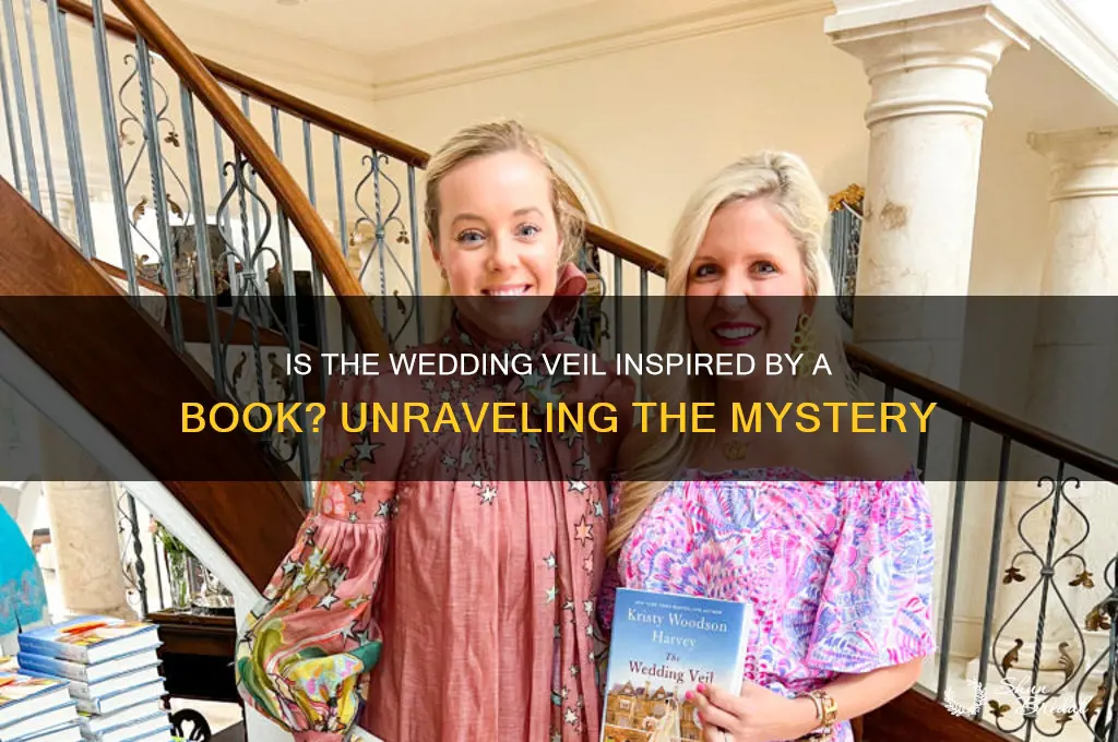 is the wedding veil based on a book