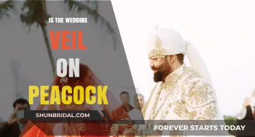 Is the Wedding Veil on Peacock Worth Watching? A Review