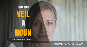 Is 'Veil' a Noun? Exploring Its Grammar and Usage