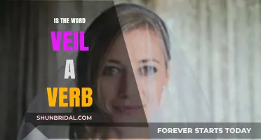 Is Veil a Verb? Exploring Its Usage and Linguistic Flexibility
