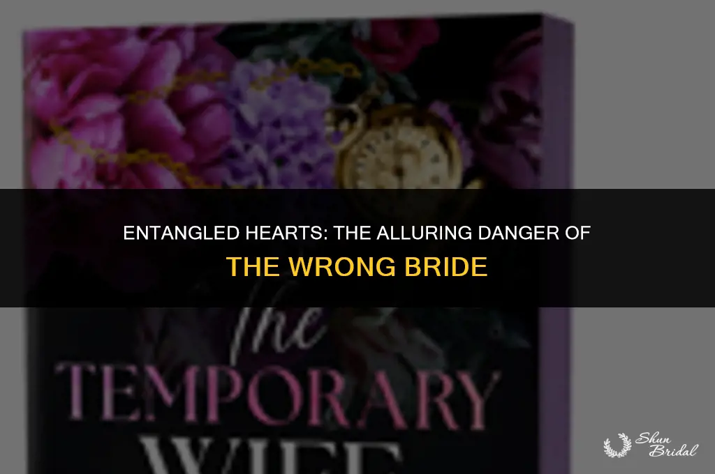 is the wrong bride a dark romance