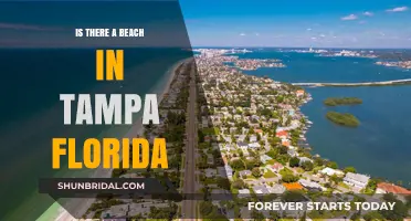 Discovering Tampa's Coastal Charm: Are There Beaches in Tampa, Florida?
