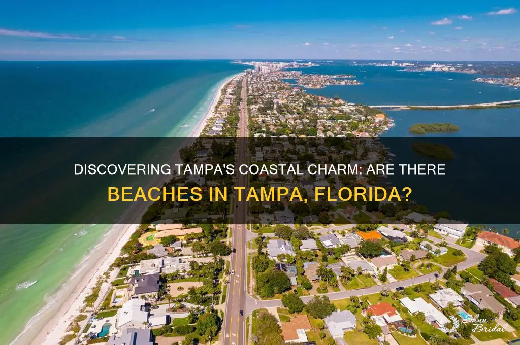 is there a beach in tampa florida