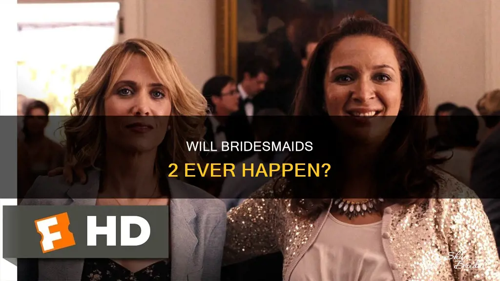 is there a bridesmaids 2 movie