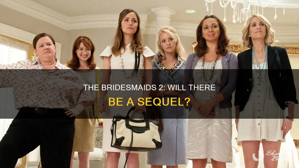 is there a bridesmaids 2