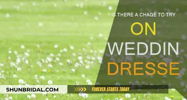 Trying on Wedding Dresses: Is There a Cost?