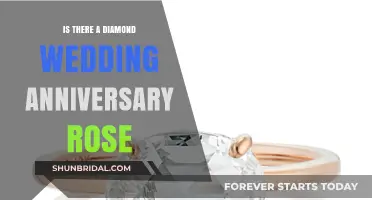 Diamond Wedding Anniversary Rose: A Symbol of Everlasting Love?