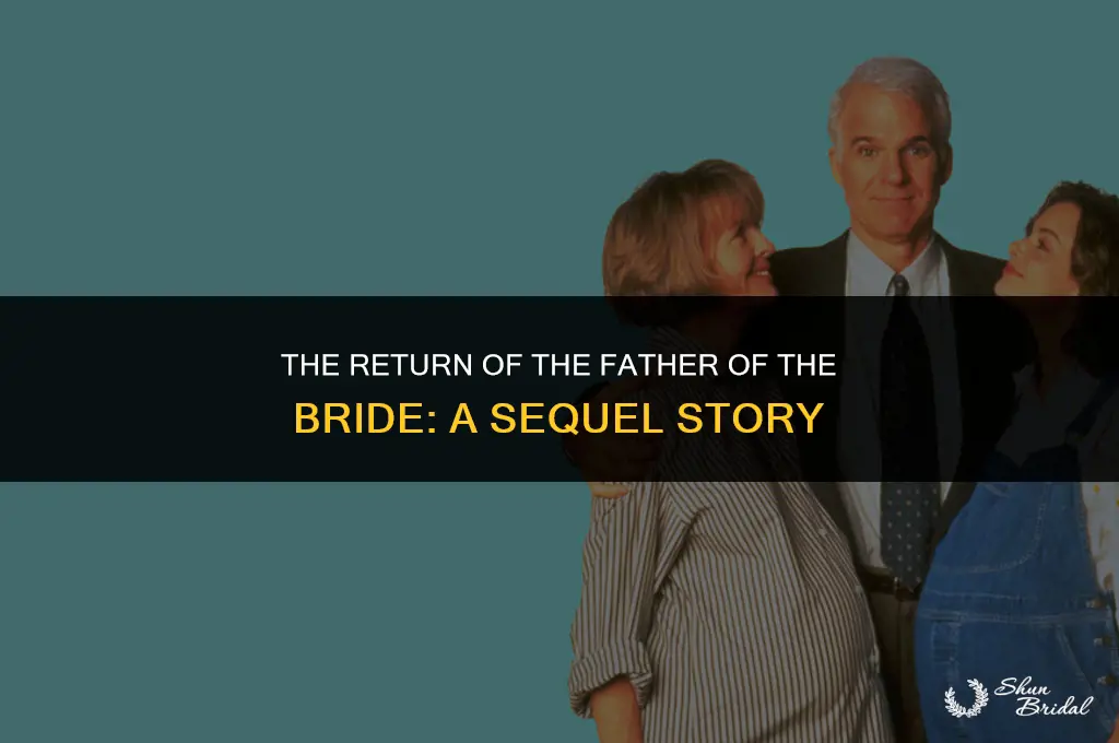 is there a father of the bride 3