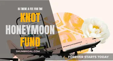 Knot Your Average Fund: Understanding Honeymoon Fund Fees