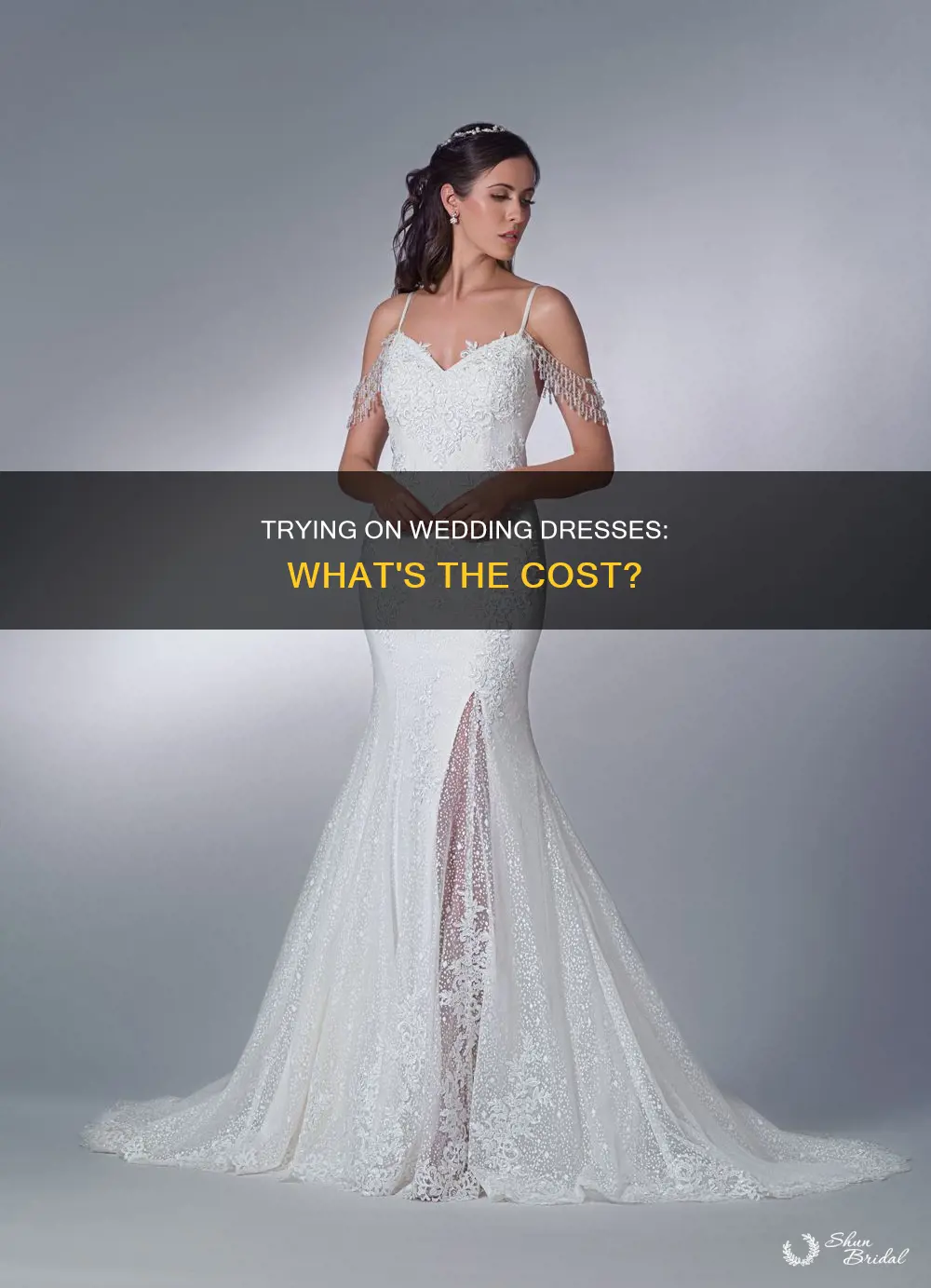 is there a fee to try on wedding dresses