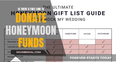 Honeymoon Fund: Free Link to Donate and Support Your Dream Wedding