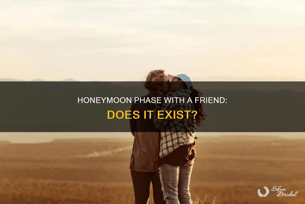 is there a honeymoon stage if you date a friend