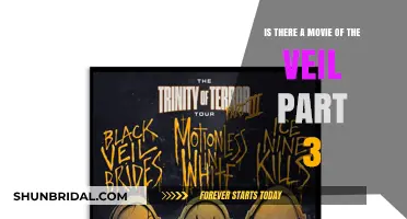 The Veil Part 3: Movie Adaptation Rumors Explored