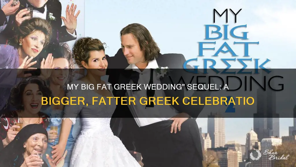 is there a my big fat greek wedding 2