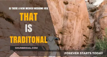 Traditional New Mexico Wedding Veil: Cultural Heritage and Modern Celebrations