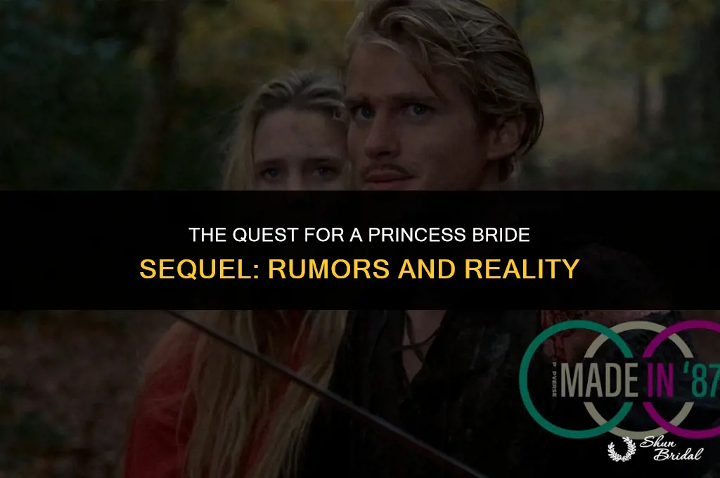 is there a princess bride 2