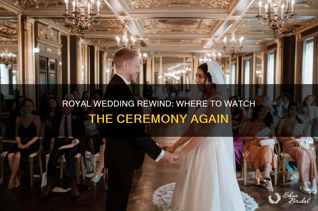 is there a repeat of the royal wedding on tv