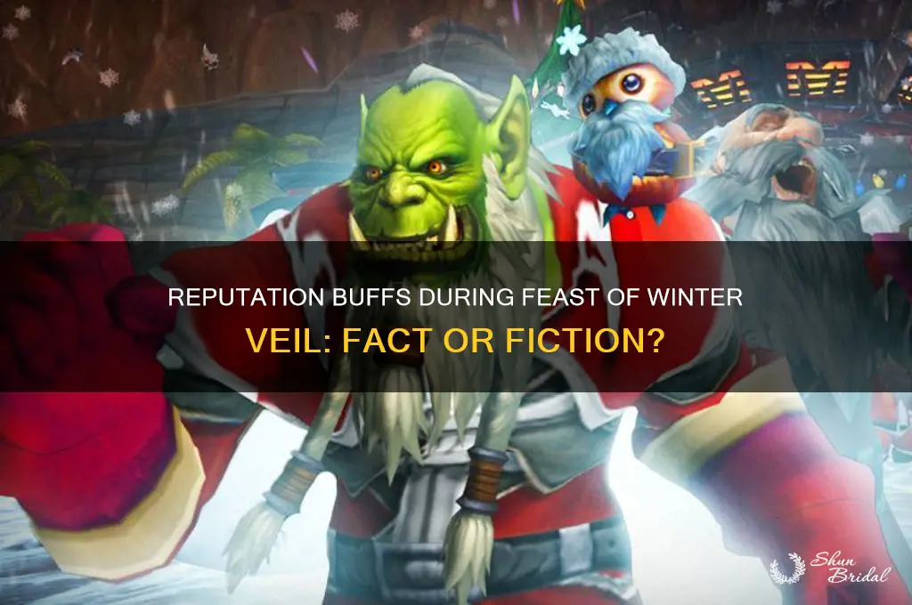is there a reputation buff for feast of winter veil
