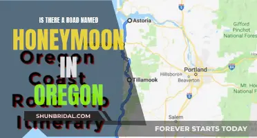 Oregon's Romantic Road: Unveiling the Mystery of Honeymoon Lane