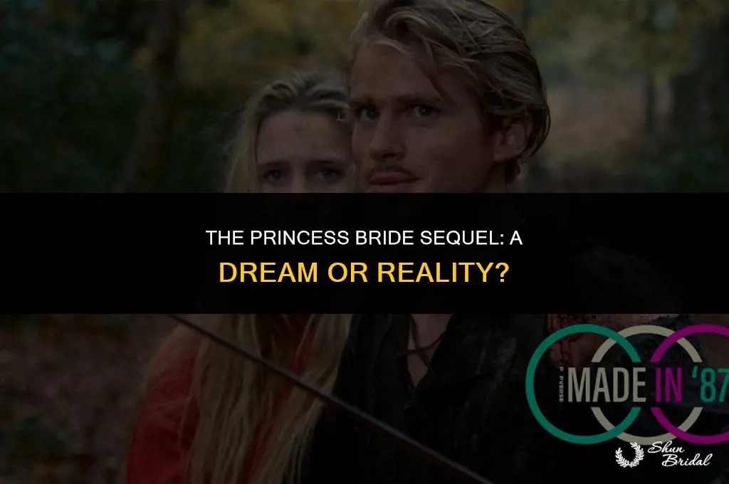 is there a sequel to the princess bride