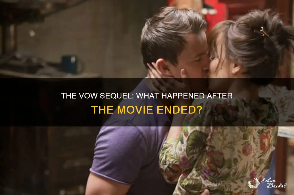 is there a sequel to the vow movie
