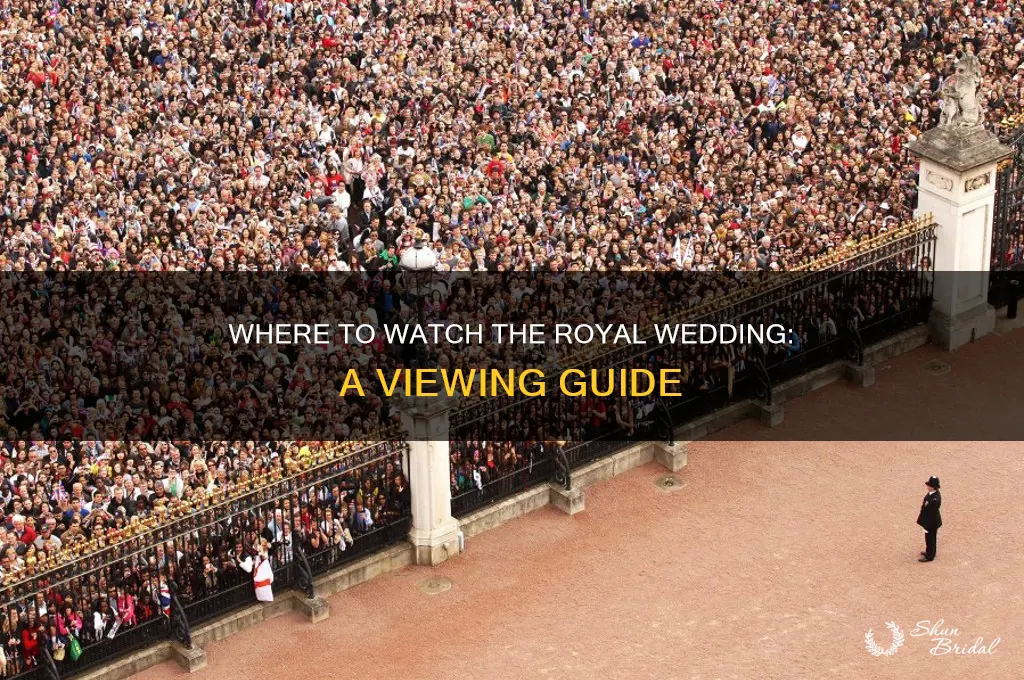 is there a station to watch the royal wedding
