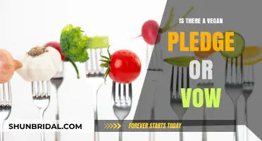 Exploring the Vegan Pledge: Commitment, Ethics, and Lifestyle Choices