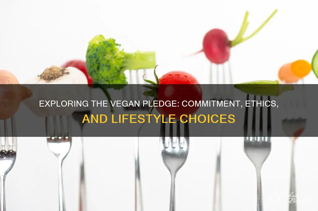 is there a vegan pledge or vow
