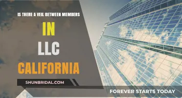 California LLC Veil: Understanding Member Liability and Protection Limits