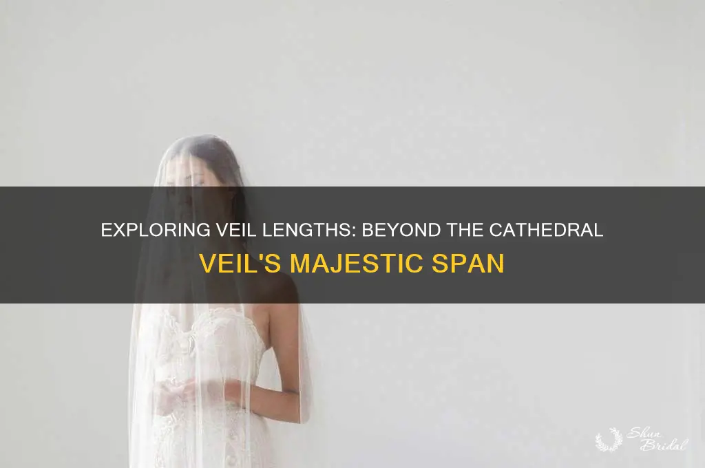 is there a veil longer than cathedral