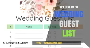 Top Wedding Guest List Apps: Simplify Planning Your Big Day
