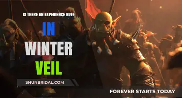 Winter Veil's Experience Buff: Myth or Seasonal Boost?