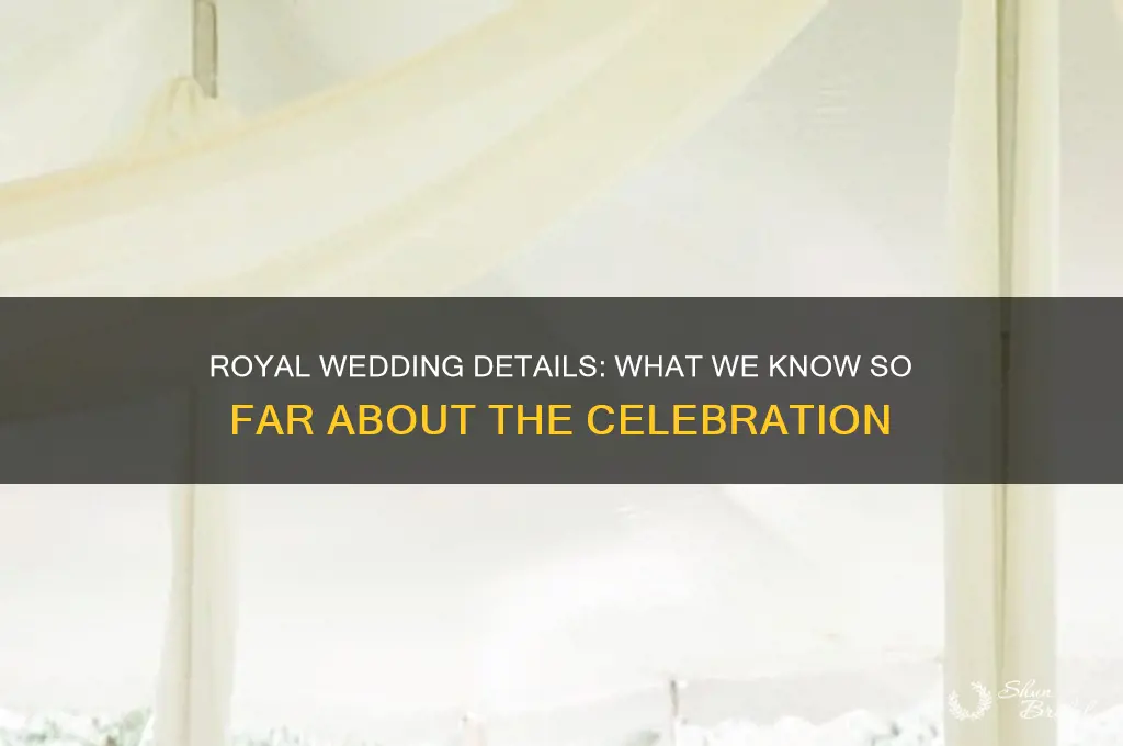 is there any info on the royal wedding