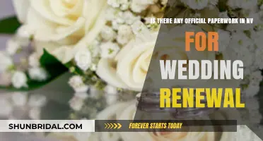 Nevada Wedding Renewal: Official Paperwork Requirements Explained
