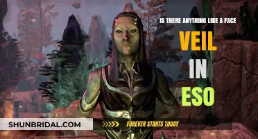Exploring ESO: Does a Face Veil Item Exist in Game?