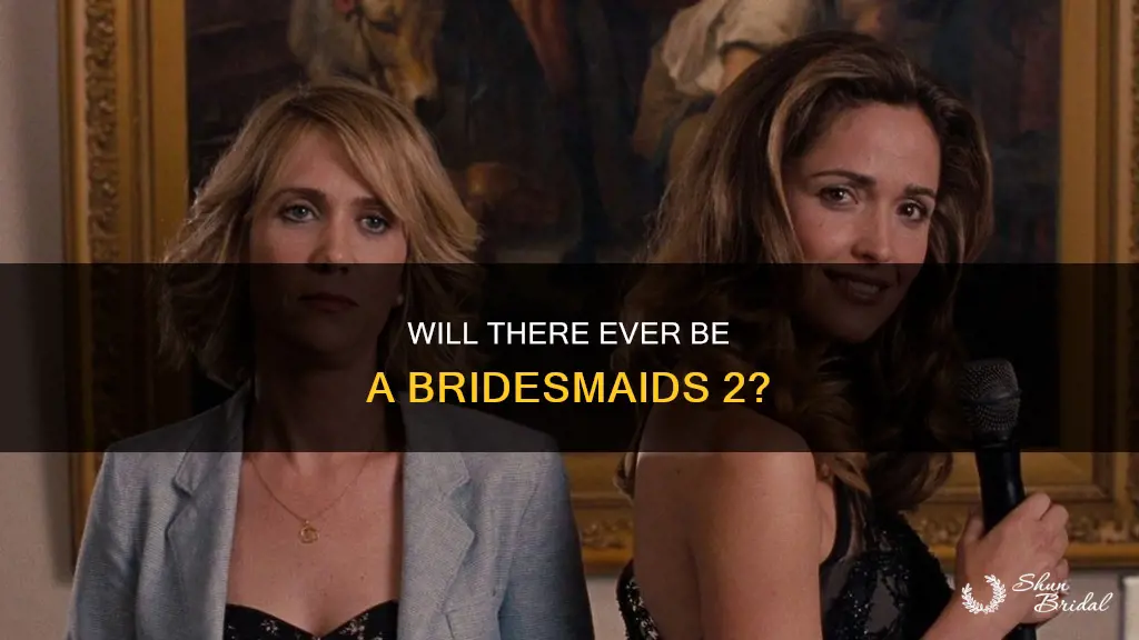 is there going to be a bridesmaids 2