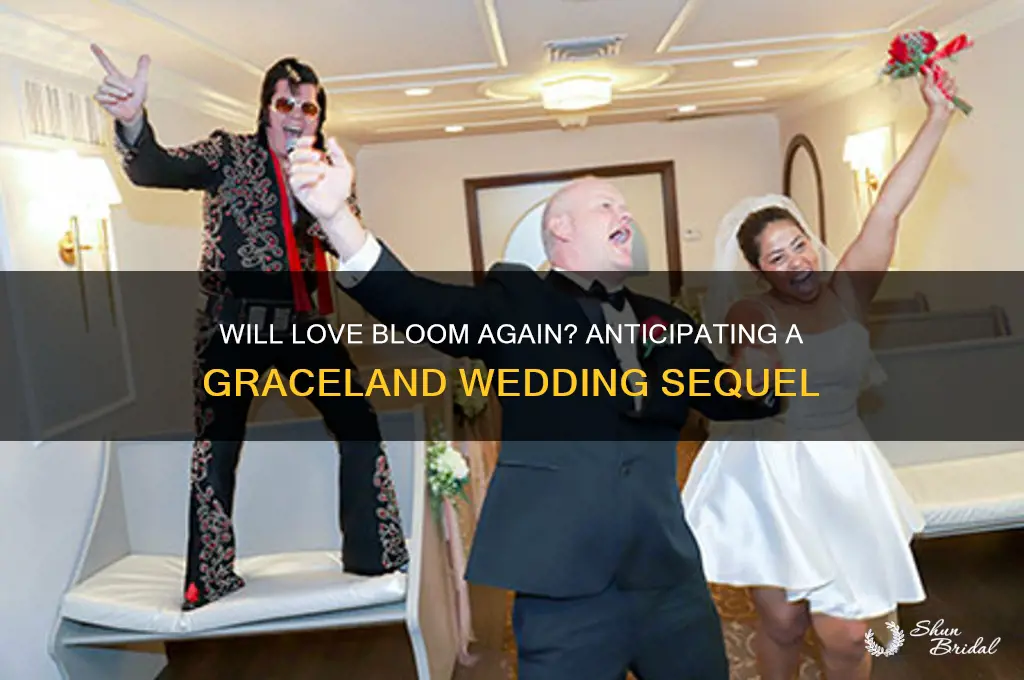 is there going to be a wedding at graceland sequel