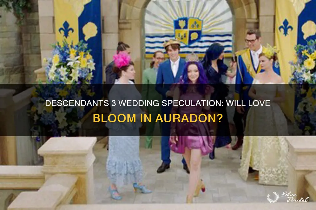 is there going to be a wedding in descendants 3