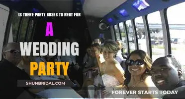 Renting a Party Bus for Your Wedding: A Fun Celebration Idea