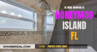 Honeymoon Island FL: Uncover Shower Secrets and More!