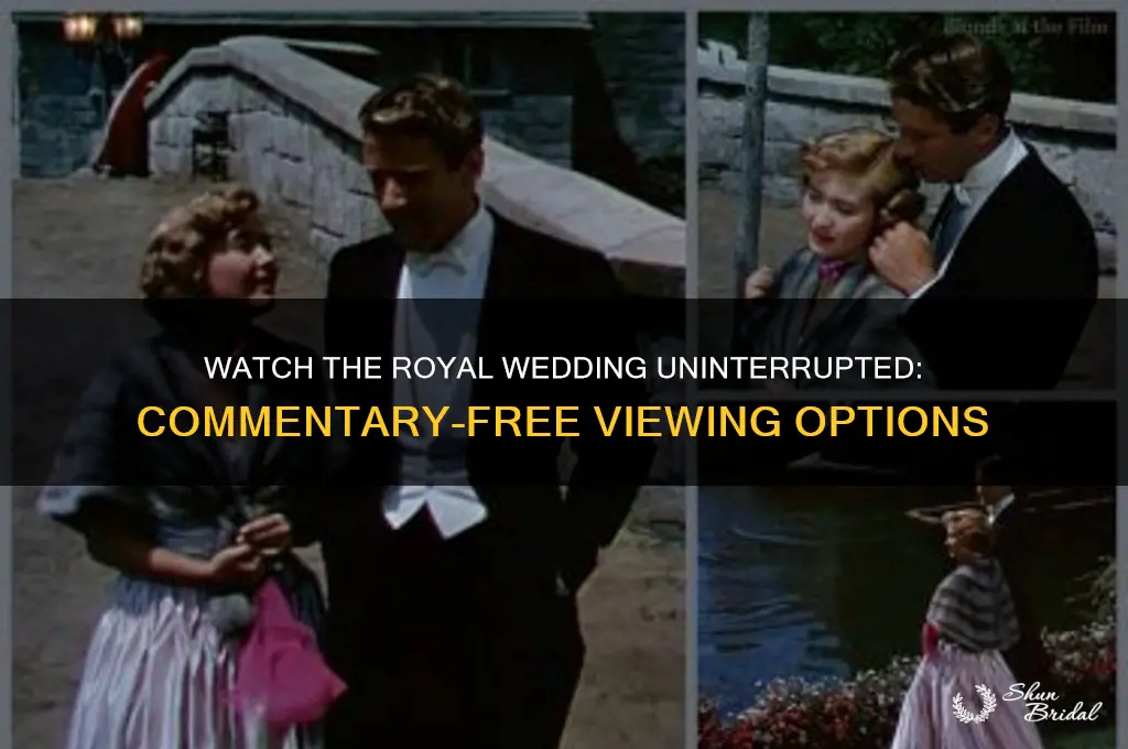 is there someplace to watch the royal wedding without commentary