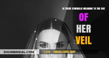 Unveiling Symbolism: The Hidden Meanings Behind Her Veil's Use