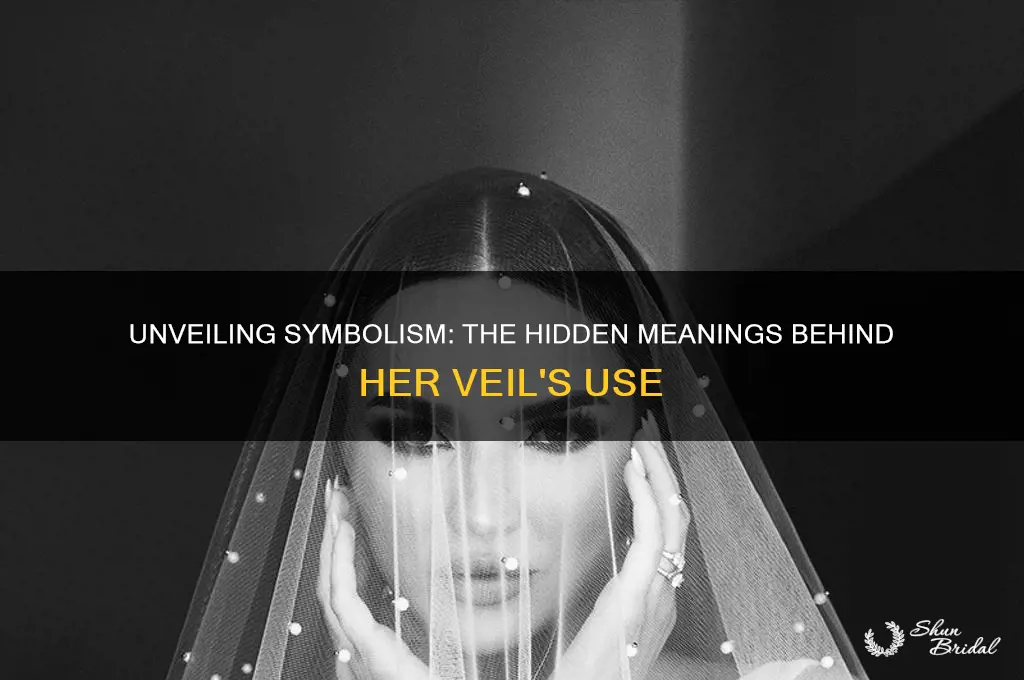 is there symbolic meaning to the use of her veil