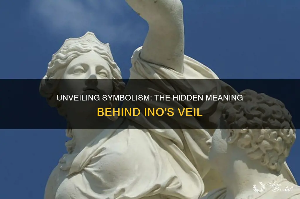 is there symbolic meaning to the use of inos veil
