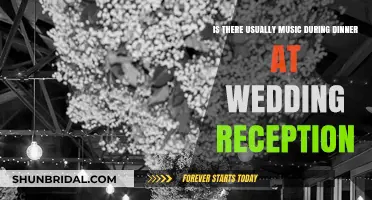 Music at Wedding Receptions: A Dinner Decision