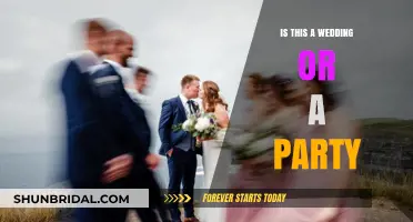 Wedding or Party? Blurring Lines in Modern Celebrations
