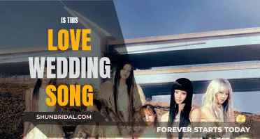 Is This Love': A Wedding Song's Poignant Questio